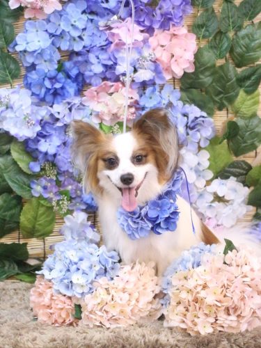 20250627ムーくん